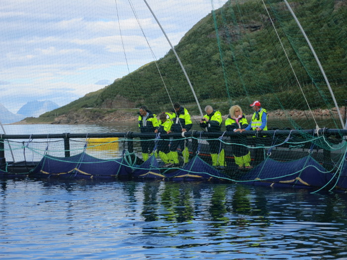 Getting close to the salmon.
