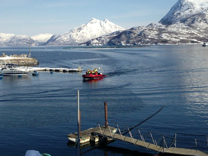 On the way to visit the salmon
